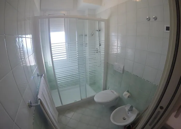 Zenith كاوْرلي